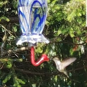 Meet your Posher, Pamela